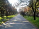 img0003.jpg