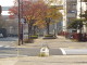 img0004.jpg