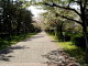 img0005.jpg