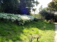img0007.jpg