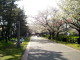 img0010.jpg