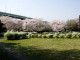 img0014.jpg