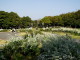 img0015.jpg