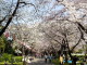 img0017.jpg