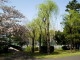 img0020.jpg