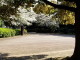 img0022.jpg