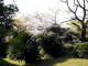 img0023.jpg