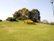 img0024.jpg