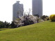 img0025.jpg