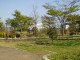 img0029.jpg