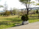 img0031.jpg