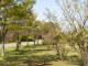 img0032.jpg