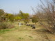 img0033.jpg