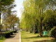 img0039.jpg