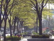 img0040.jpg