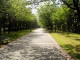 img0042.jpg