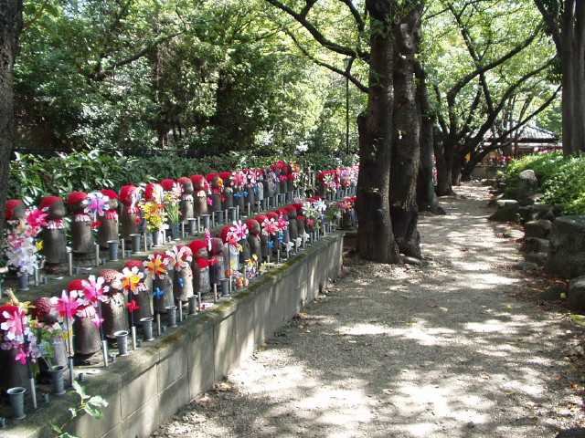 img0016.jpg