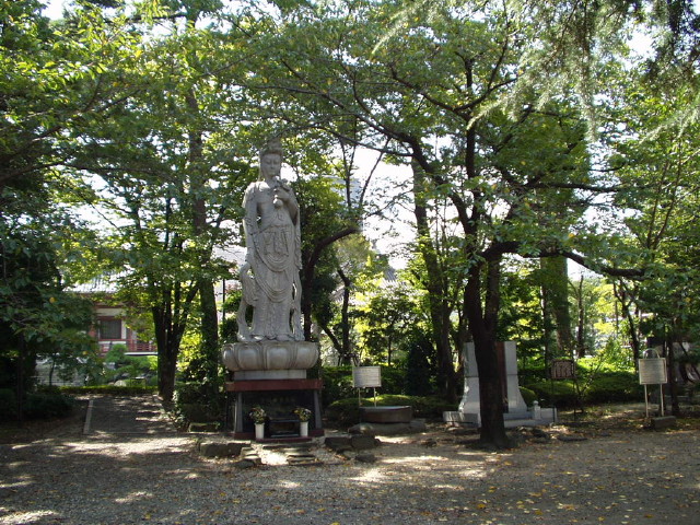 img0020.jpg