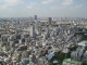 img0009.jpg