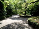 img0011.jpg