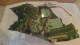 img0010.jpg