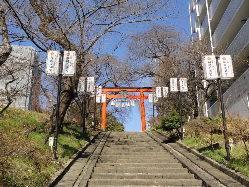 img0003.jpg