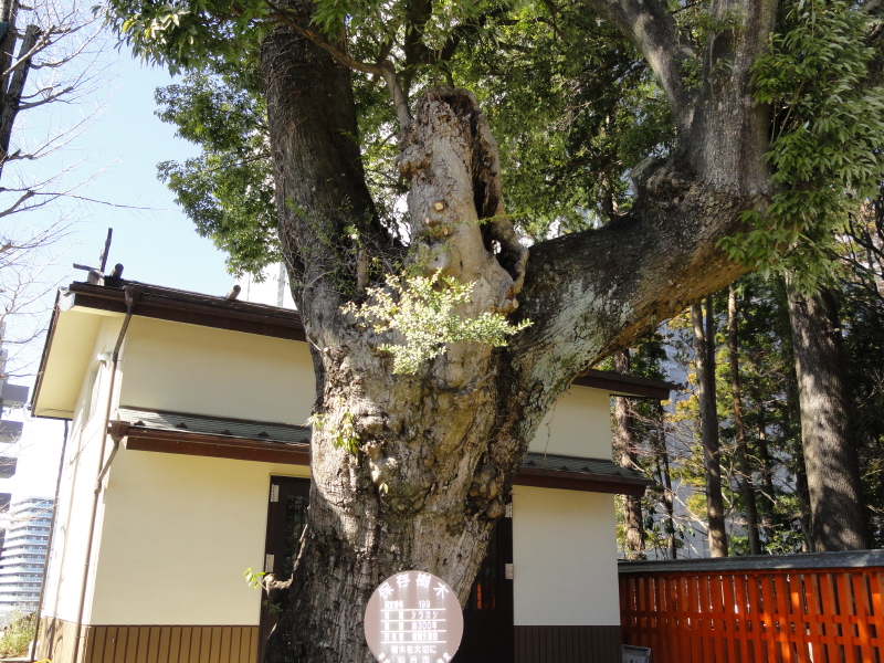 img0010.jpg