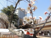 img0026.jpg