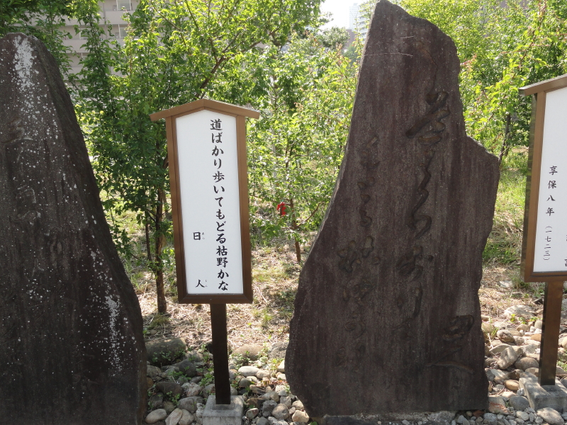img0017.jpg