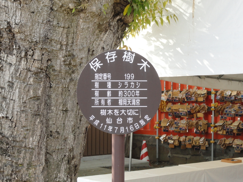 img0028.jpg