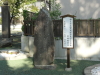 img0009.jpg