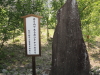 img0016.jpg