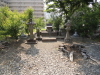 img0020.jpg