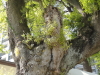 img0029.jpg