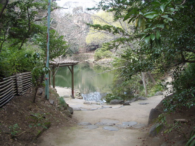 img0008.jpg
