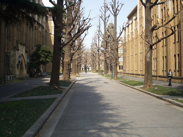 img0036.jpg