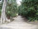 img0007.jpg