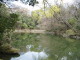img0009.jpg