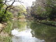 img0010.jpg