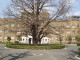 img0027.jpg