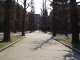 img0030.jpg