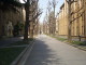 img0036.jpg