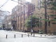 img0037.jpg
