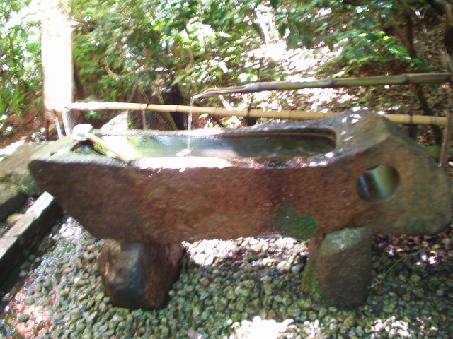 img0006.jpg