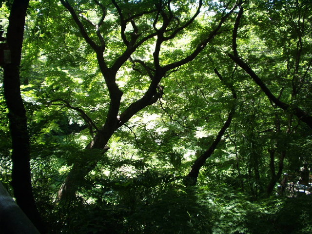img0012.jpg