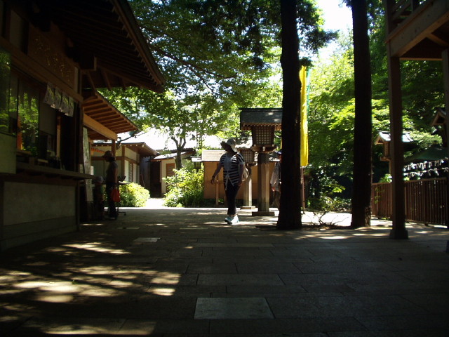 img0013.jpg
