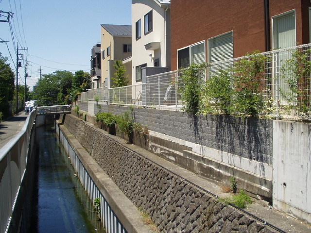 img0019.jpg