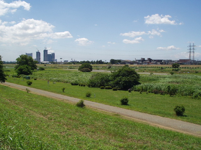 img0021.jpg