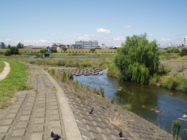 img0022.jpg