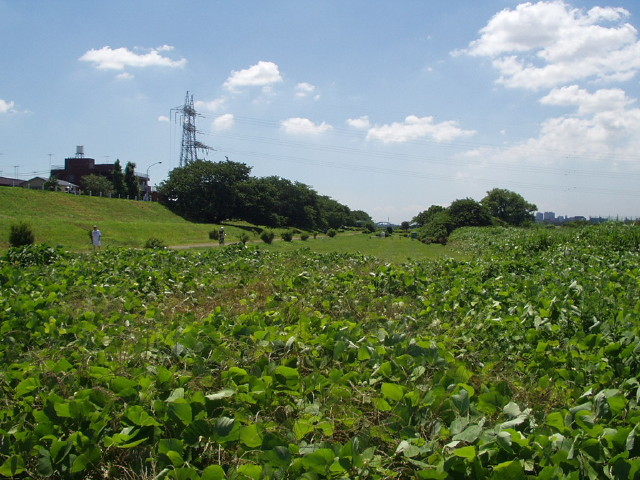img0023.jpg
